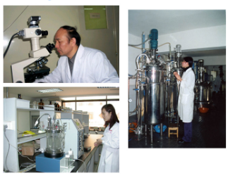 Quitosano para alimentación animal