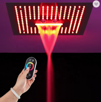 Ducha de lluvia SS304