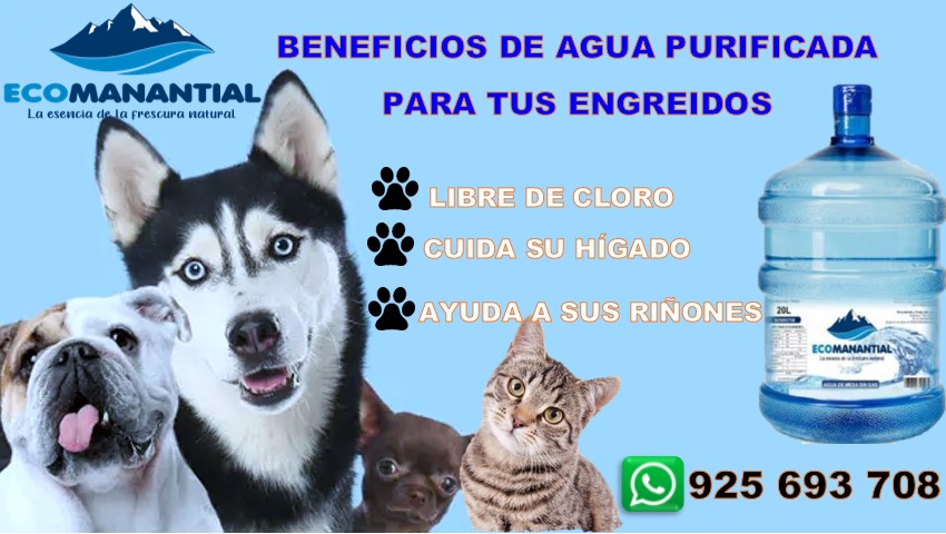 💧💧AGUA ECOMANANTIAL TE TRAE LA FRESCURA💧💧