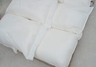 SACO1